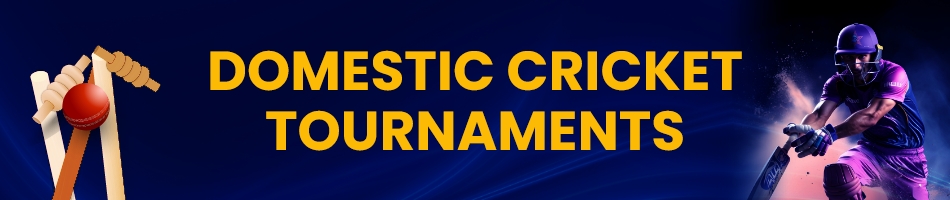 Domestic Cricket